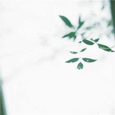 神仙道h5微端下载